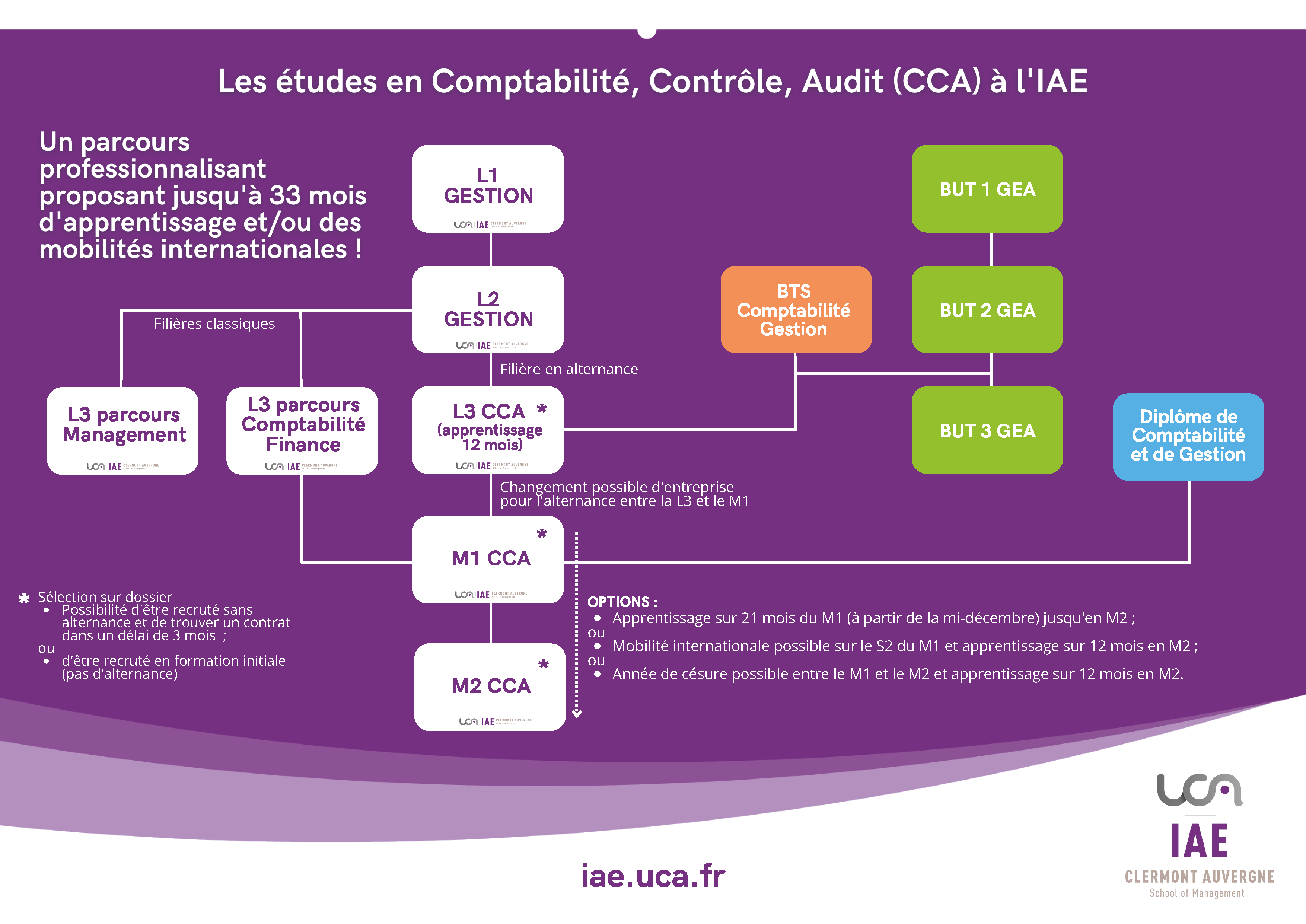 L3 En Alternance _ L’alternance à l’iaelyon – KVYOO